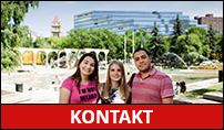 Global Village Kontakt